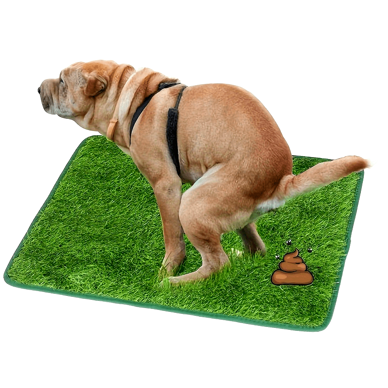 Washable Dog Grass Pee Pad – Reusable Artificial Turf Potty Training Mat