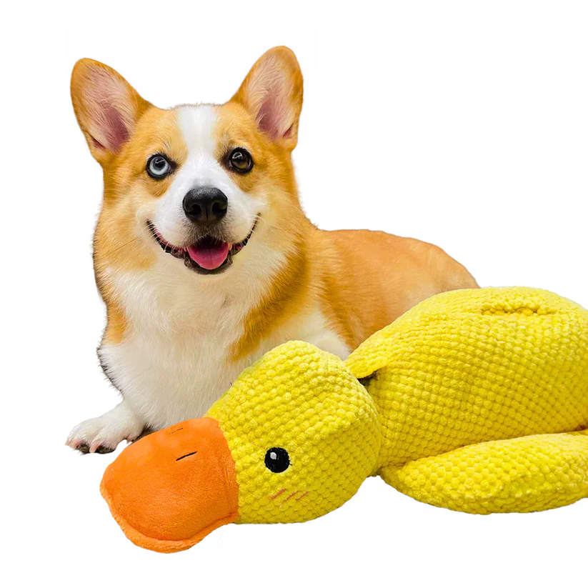 Calming Duck Toy | Durable Dog Chew – Anxiety Relief & Enrichment