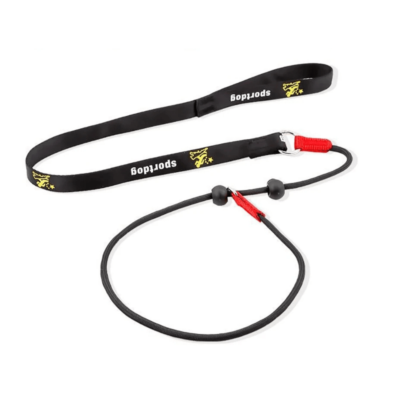 2-in-1 Slip Leash and Collar | Adjustable Training Lead for Dogs
