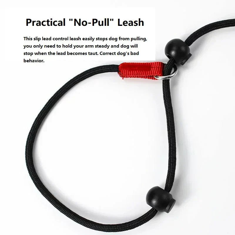 2-in-1 Slip Leash and Collar | Adjustable Training Lead for Dogs