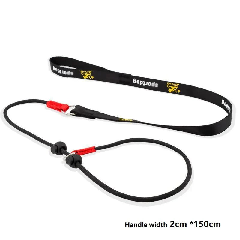 2-in-1 Slip Leash and Collar | Adjustable Training Lead for Dogs