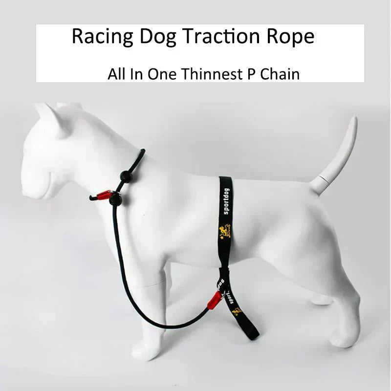 2-in-1 Slip Leash and Collar | Adjustable Training Lead for Dogs