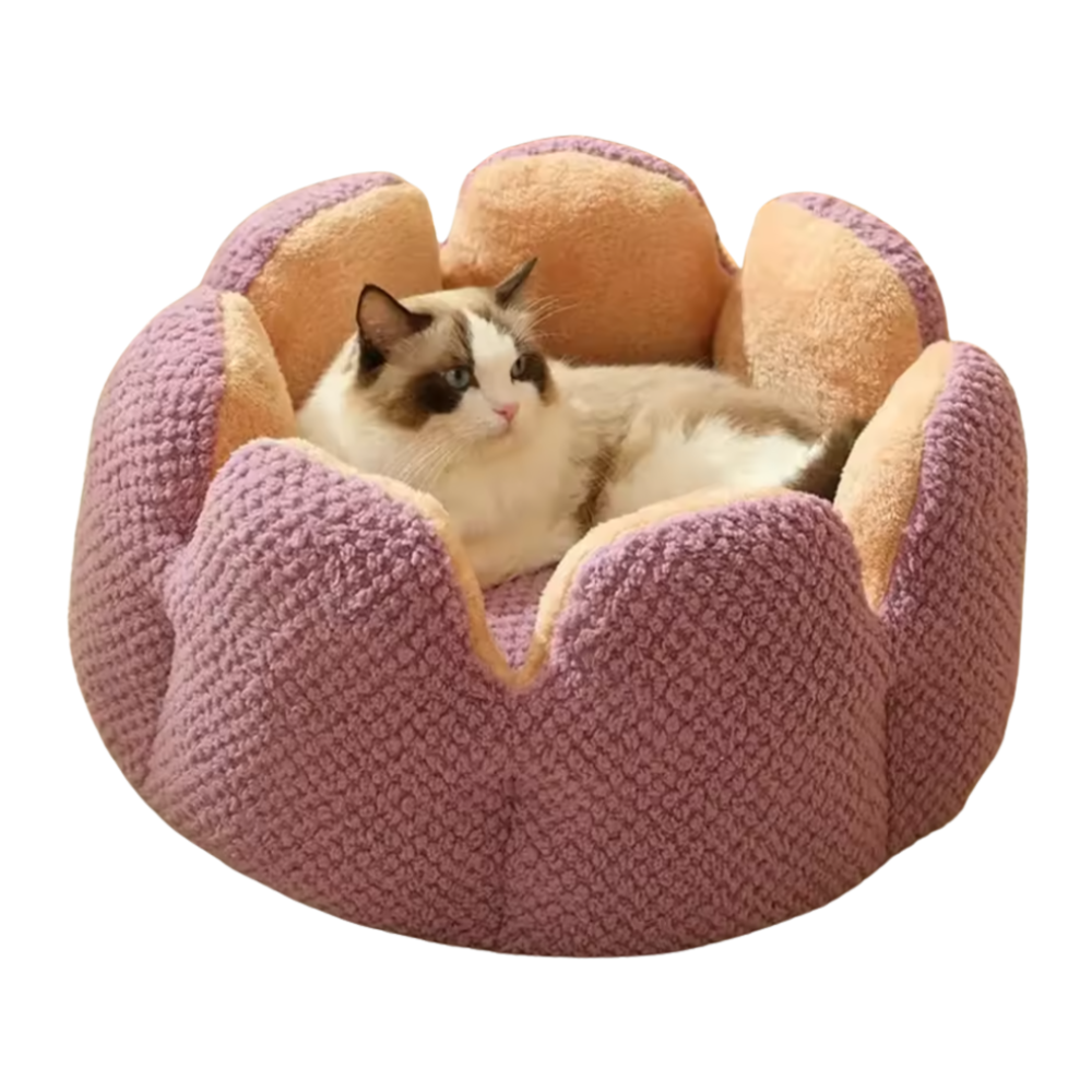 Cat Flower Bed | Soft Pet Cushion with Cozy Bloom Design