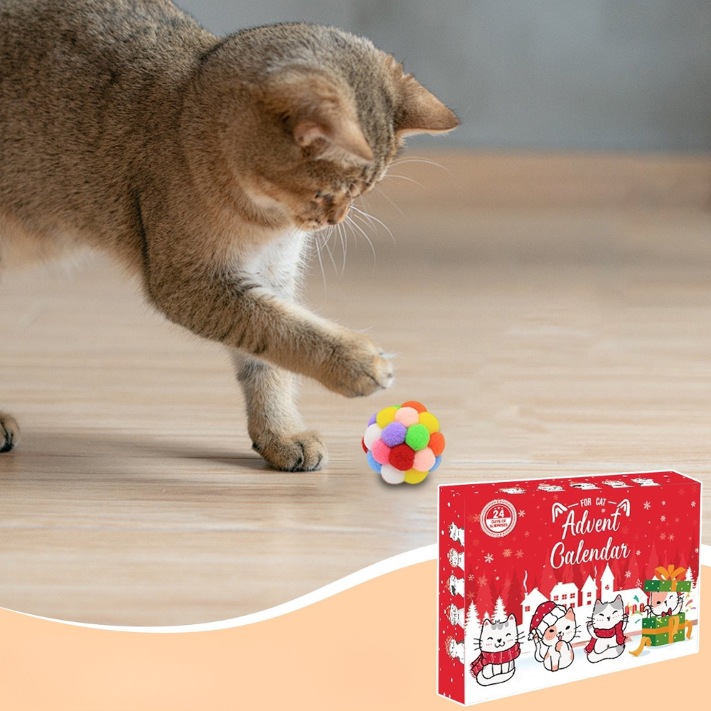 24-Day Cat Advent Calendar | Interactive Holiday Toy Gift Box for Cats