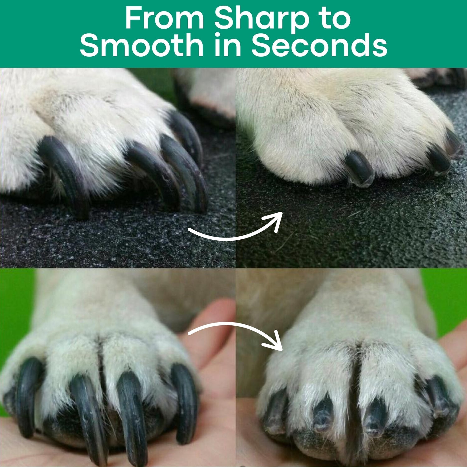 SafeTrim | LED Pet Nail Clipper for Dogs & Cats, Safe Claw Grooming Tool