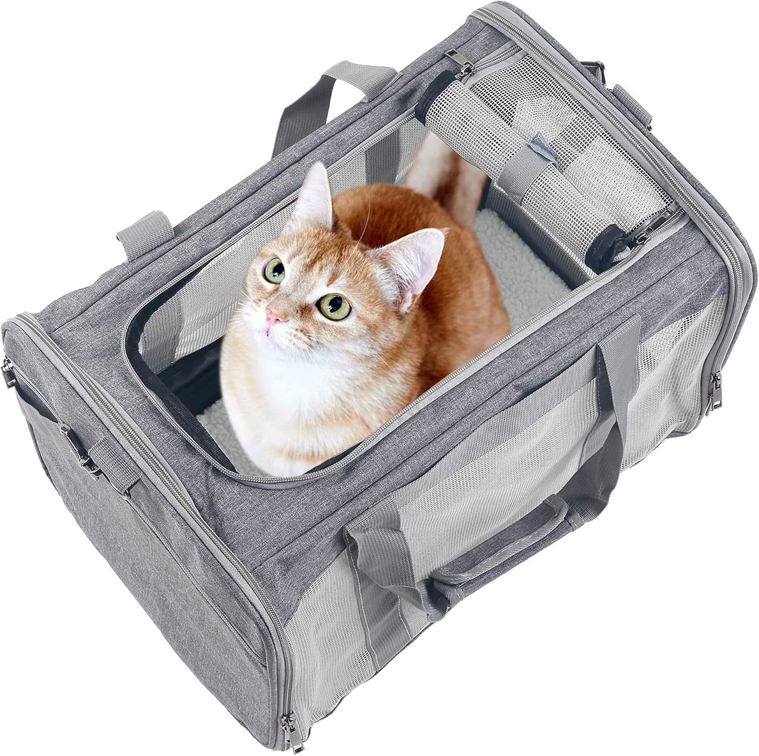 Large Cat & Dog Carrier – Soft-Sided Collapsible Travel Bag for Pets up to 25 lbs