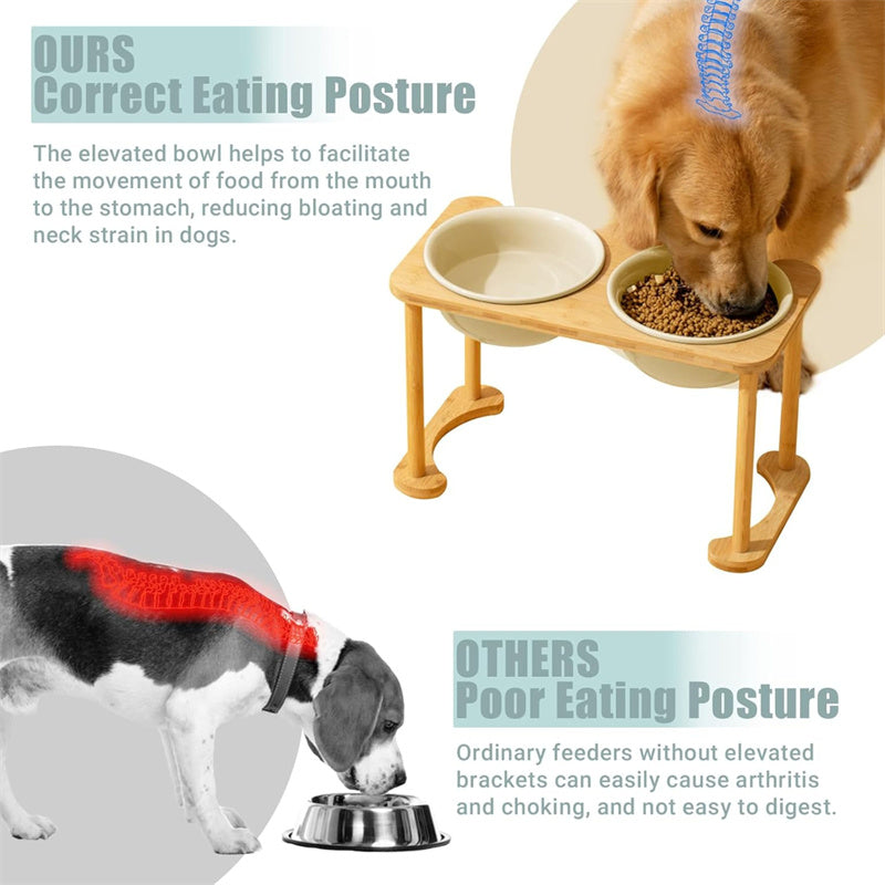 Elevated Dog Bowls with Bamboo Stand – Raised Food & Water Bowls for Dogs