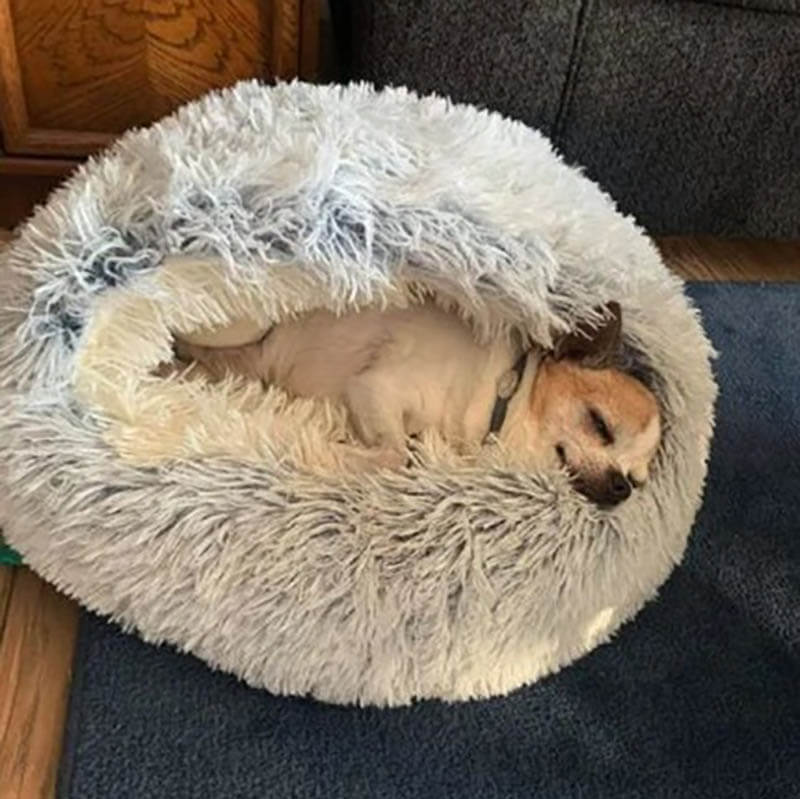 Calming Dog Cave | Plush Pet Bed – Cozy & Anxiety Relief