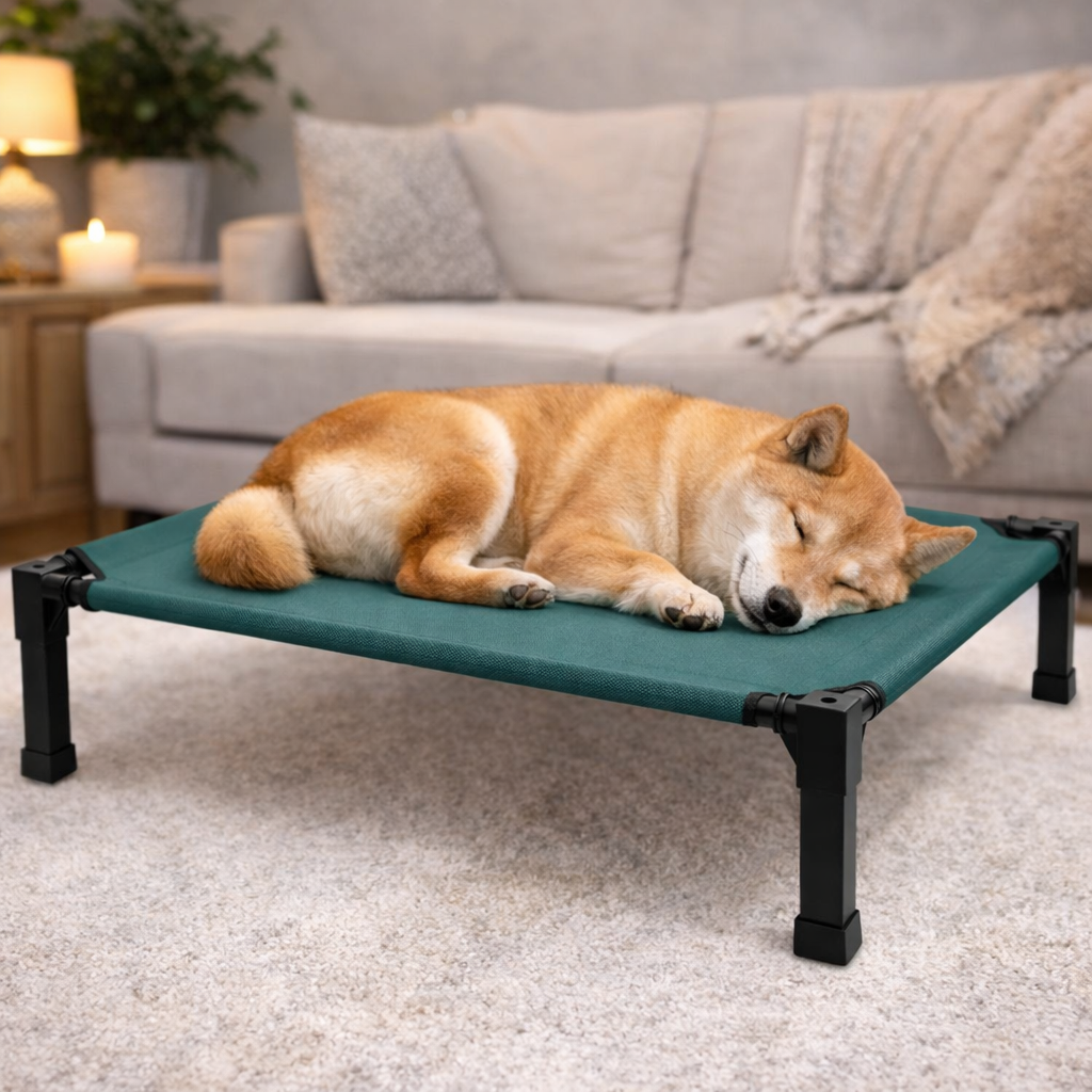Elevated Cooling Dog Bed – Breathable Raised Mesh Dog Cot for Indoor & Outdoor Use