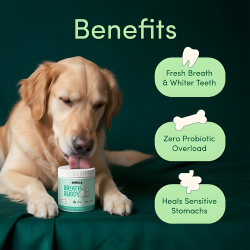 Dog Dental Powder | Breath Buddy – Fresh Breath & Whiter Teeth