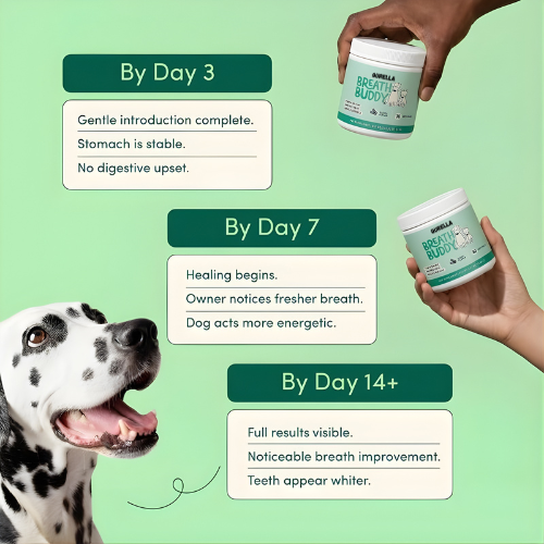 Dog Dental Powder | Breath Buddy – Fresh Breath & Whiter Teeth