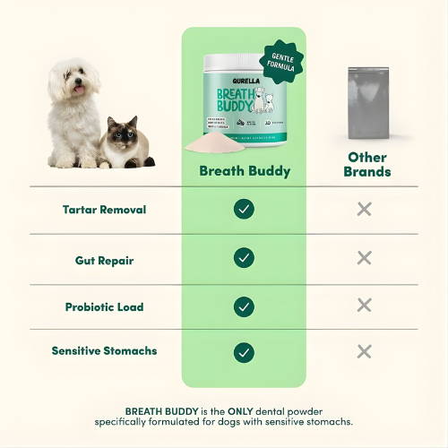 Dog Dental Powder | Breath Buddy – Fresh Breath & Whiter Teeth