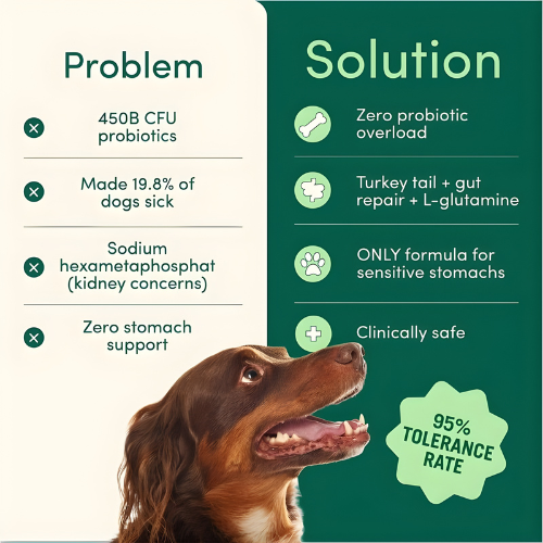 Dog Dental Powder | Breath Buddy – Fresh Breath & Whiter Teeth