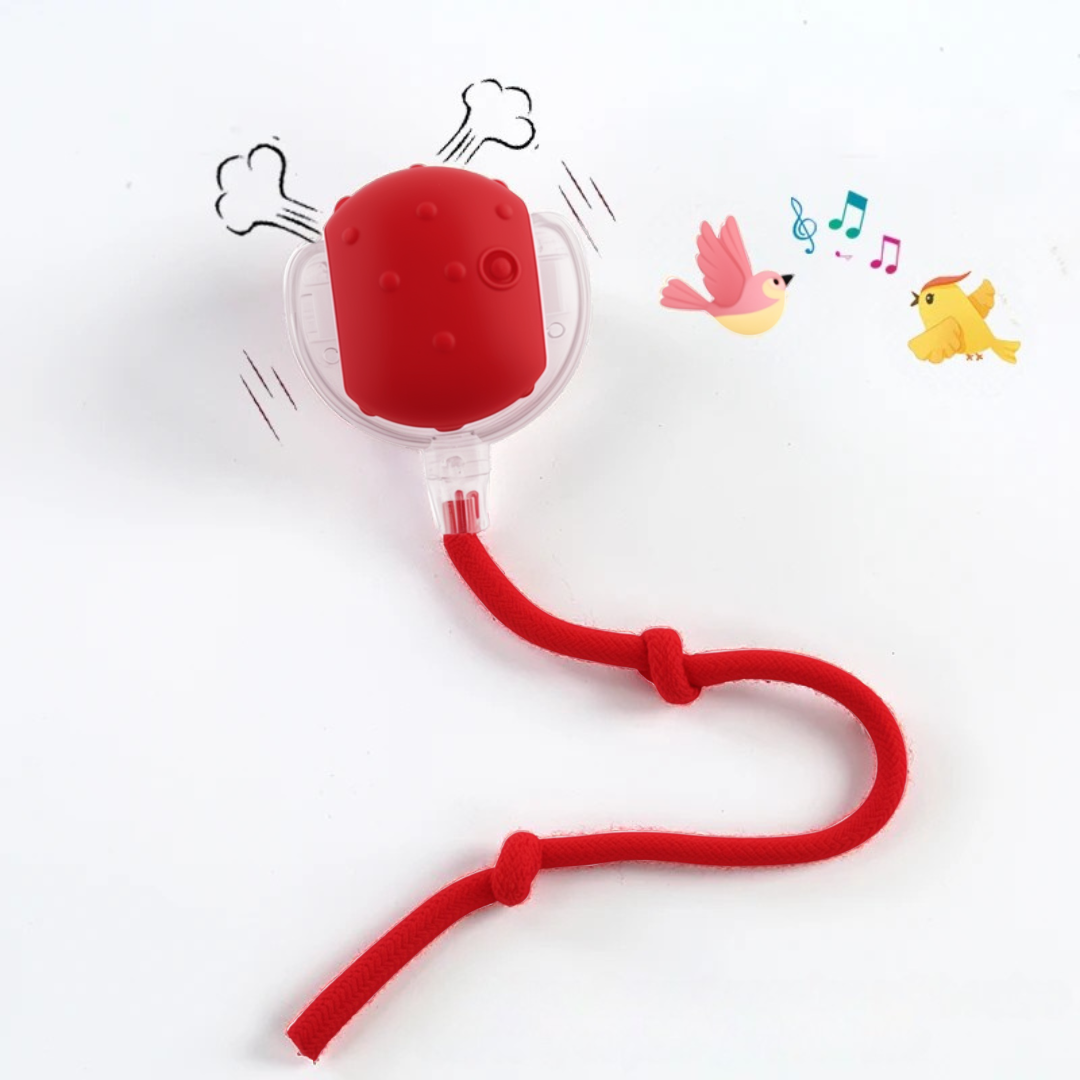 Interactive Smart Dog Toy | Self-Moving Play Ball with Rope