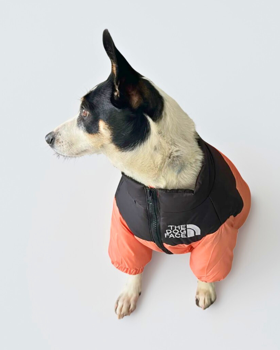 Winter Dog Puffer Jacket | Warm, Windproof & Lightweight Coat