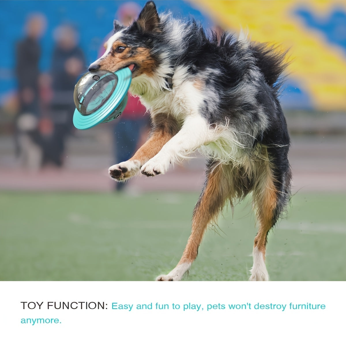 Interactive Dog Treat Puzzle Toy for Mental Stimulation & Slow Feeding Enrichment
