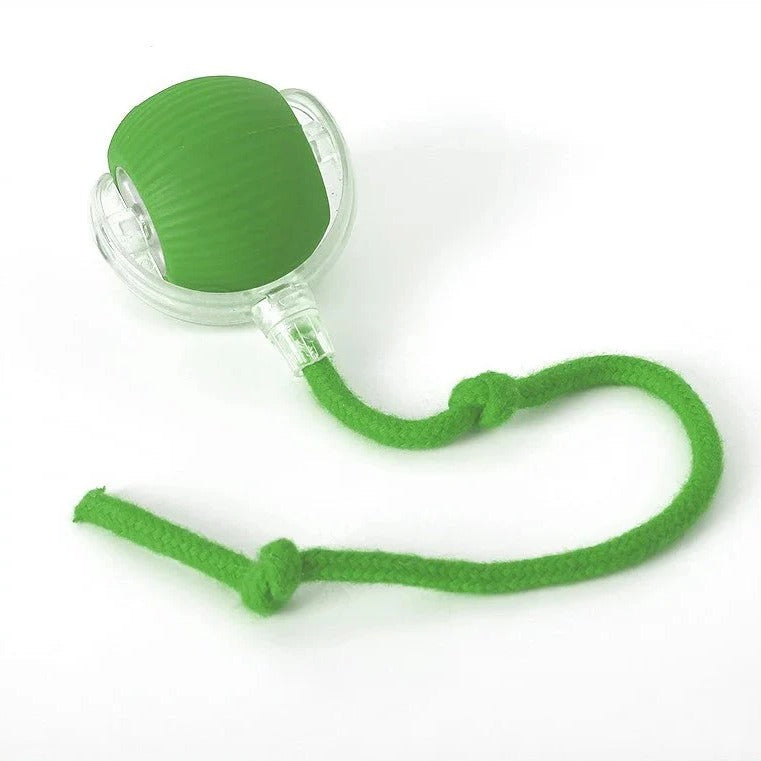 Rolling Ball Toy | Interactive Dog Toy – Motion Activated Chase Play