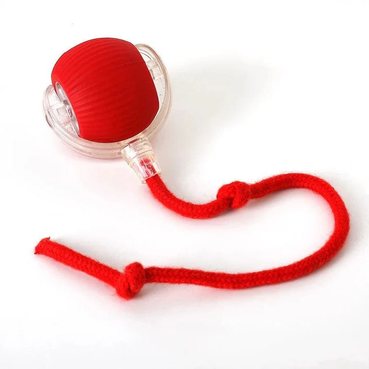 Rolling Ball Toy | Interactive Dog Toy – Motion Activated Chase Play
