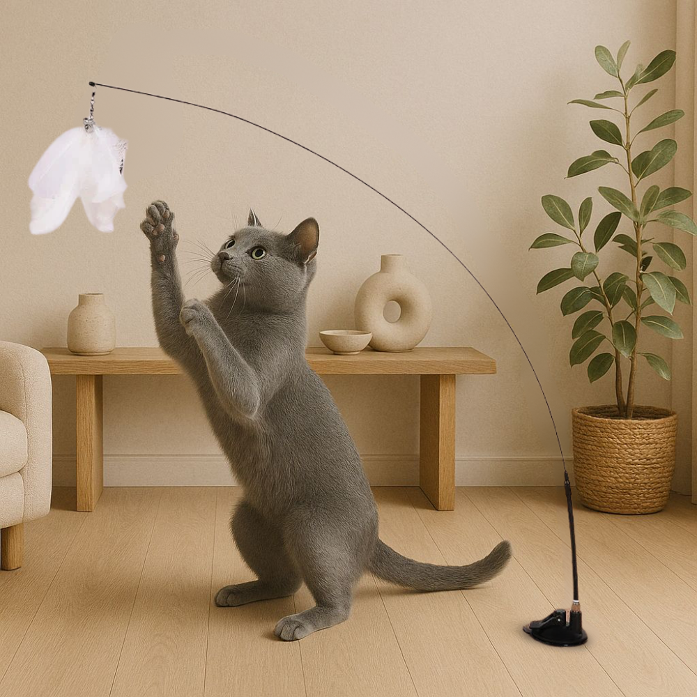 Interactive Cat Toy with Suction Cup | Colorful Feather Birds & Bells for Endless Play