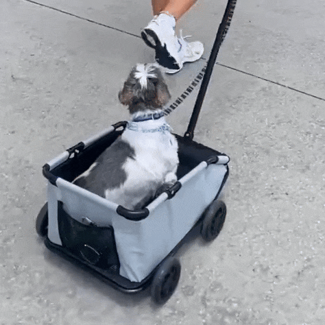 Foldable Pet Wagon | Compact Pull Cart for Small Dogs and Cats