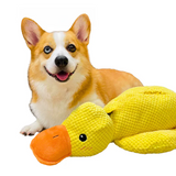Calming Duck Toy | Durable Dog Chew – Anxiety Relief & Enrichment