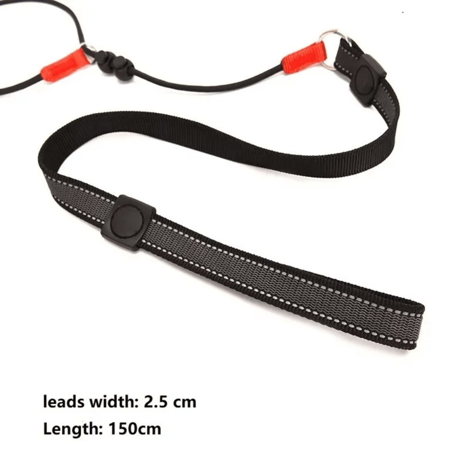2-in-1 Slip Leash and Collar | Adjustable Training Lead for Dogs