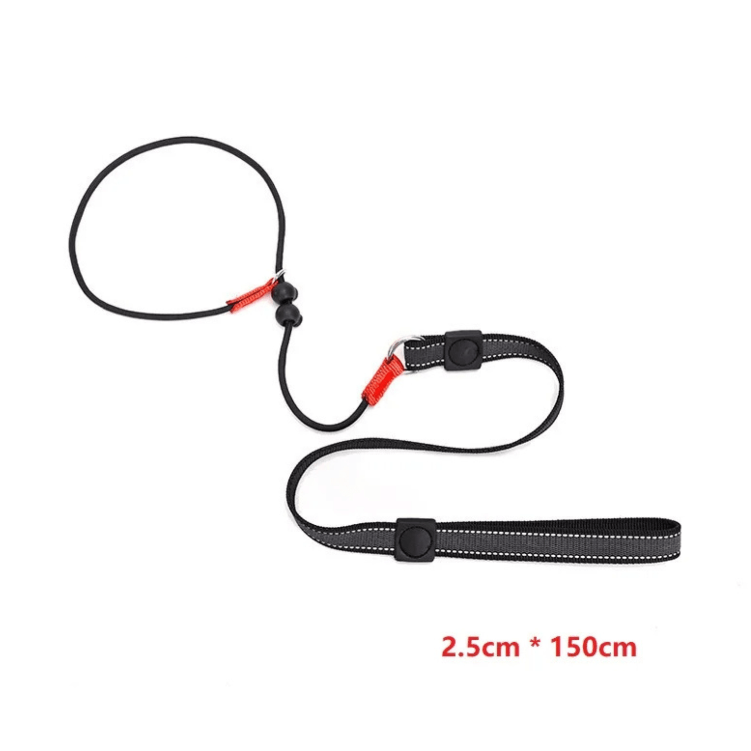 2-in-1 Slip Leash and Collar | Adjustable Training Lead for Dogs