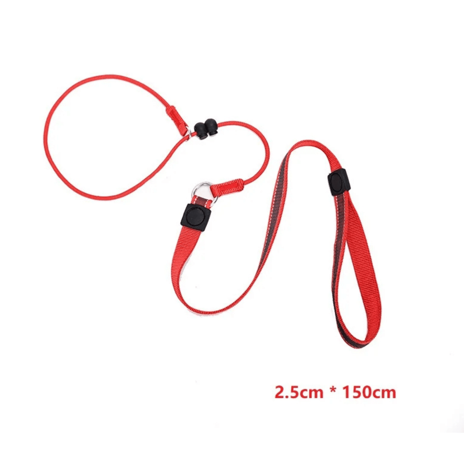 2-in-1 Slip Leash and Collar | Adjustable Training Lead for Dogs