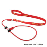 2-in-1 Slip Leash and Collar | Adjustable Training Lead for Dogs
