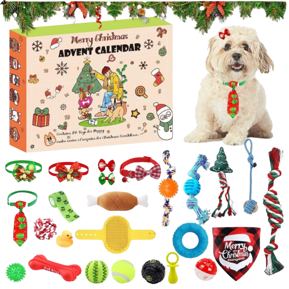 24-Day Dog Advent Calendar | Interactive Christmas Toy & Treat Gift Box
