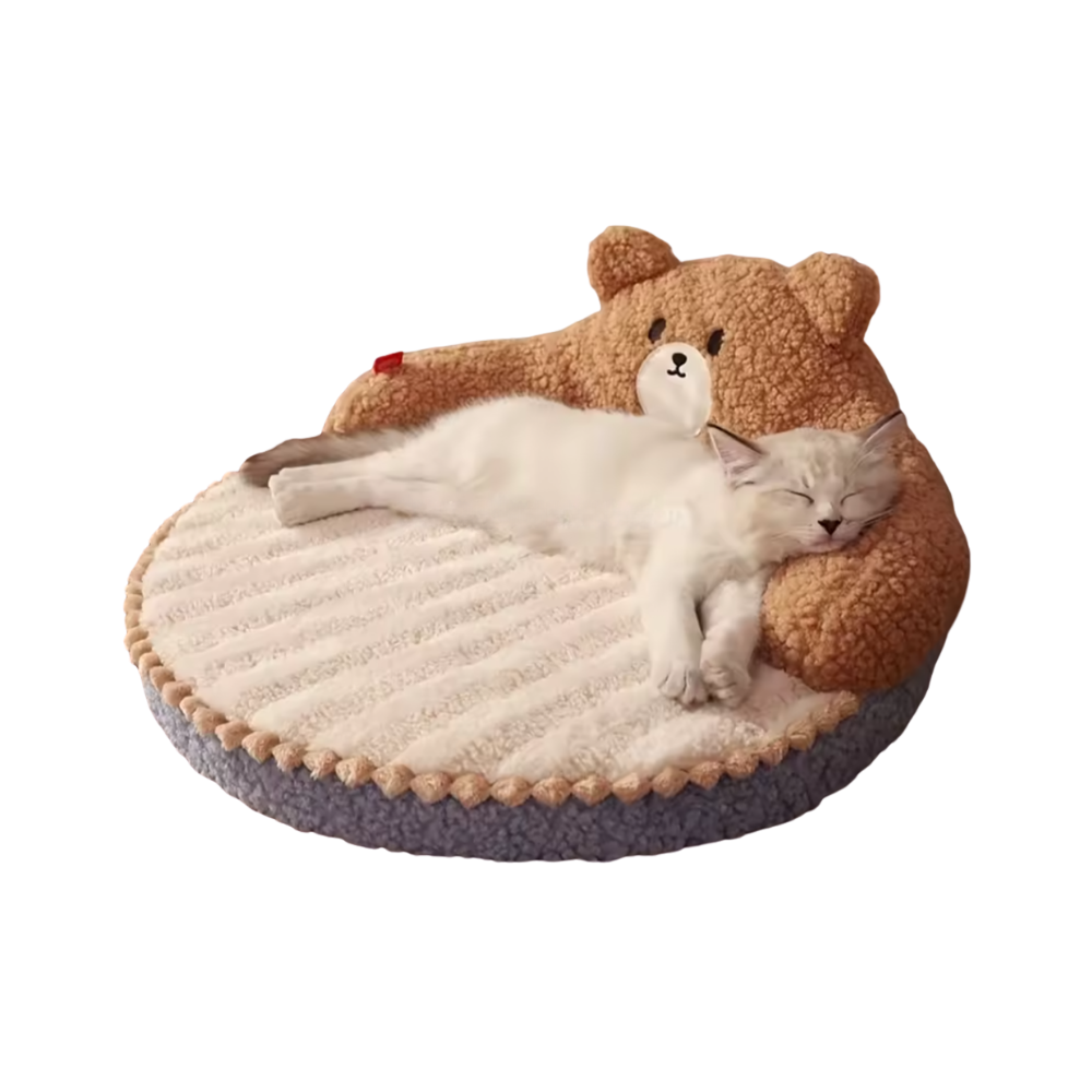 Cute Cat Bed for Kittens | Soft Plush Sofa with Memory Foam Cushion & Washable Cover