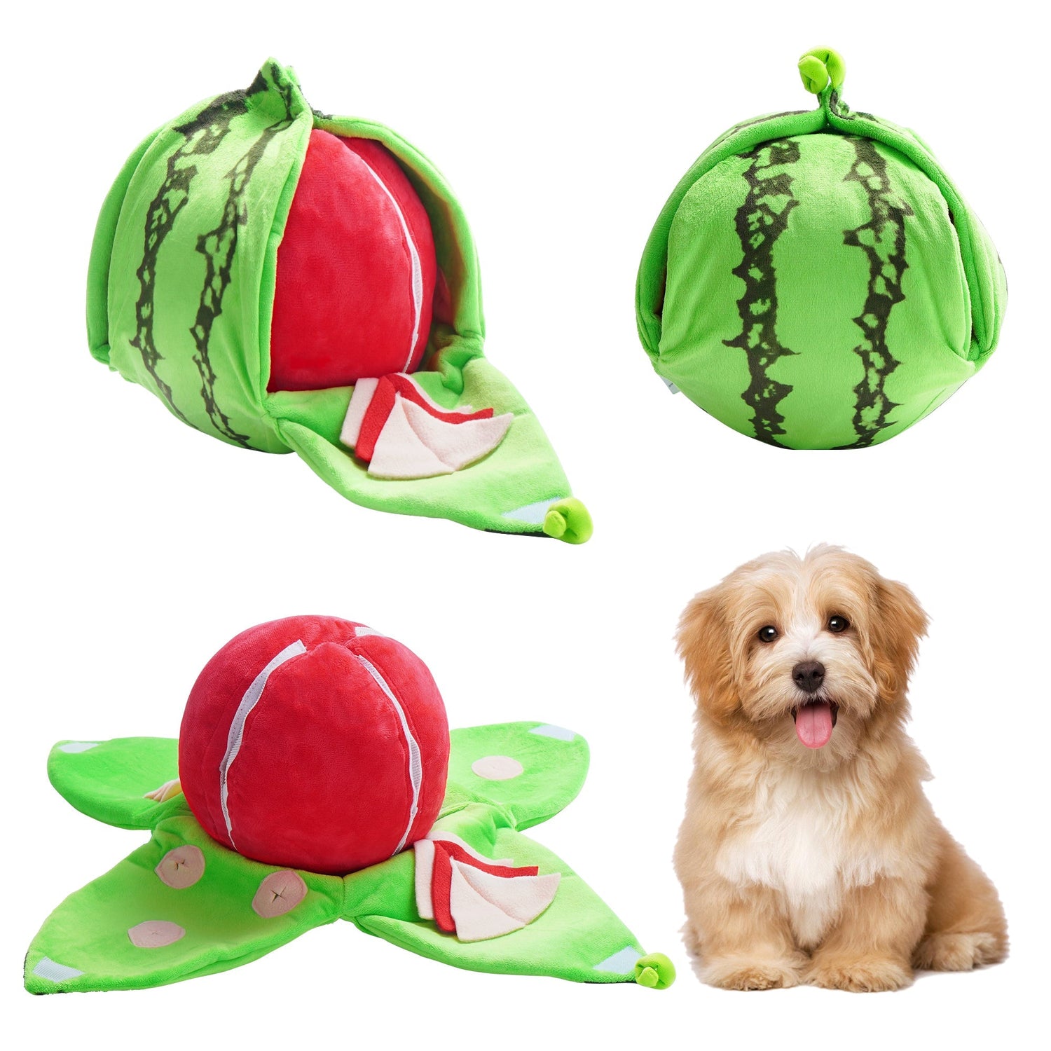Interactive Watermelon Hide and Seek Dog Toy for Mental Stimulation & Enrichment Play