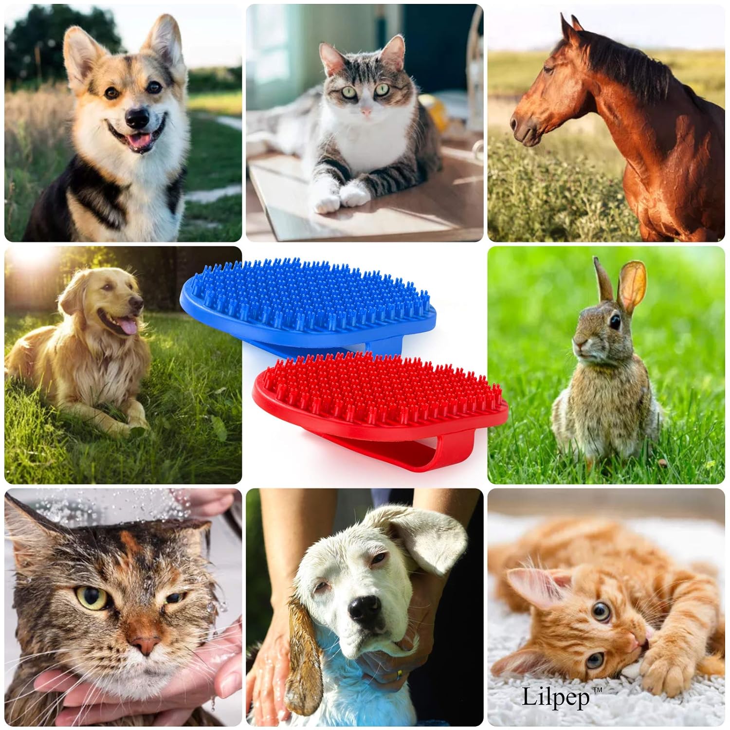2 Pack Pet Grooming Brushes | Soft Rubber Bath & Massage Brush for Dogs and Cats
