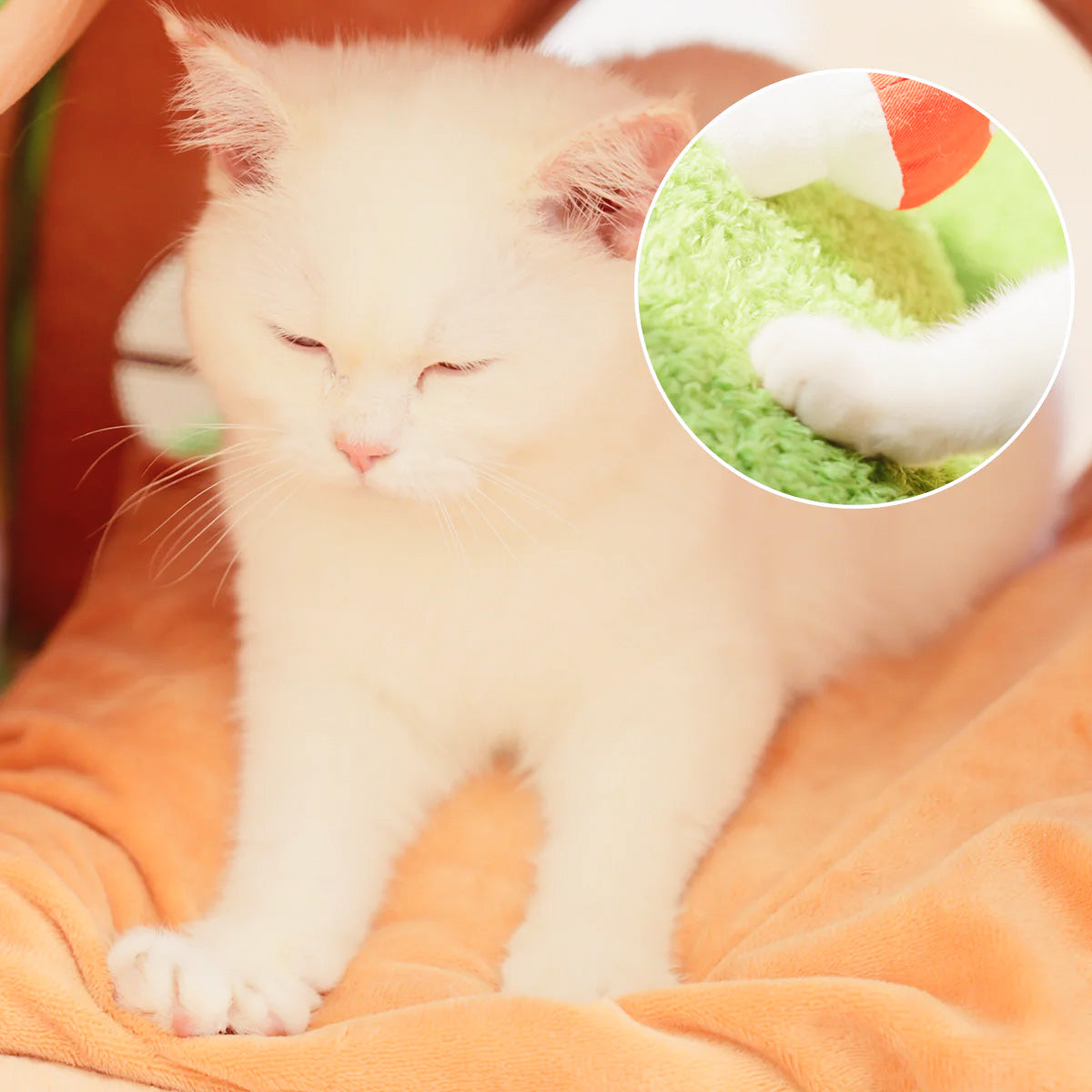 Cozy Cave house | Cat House Bed – Secure Hideout & Play Nest