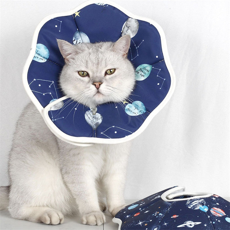 Adjustable Cat Recovery Cone Collar – Soft Protective Neck Cone for Cats