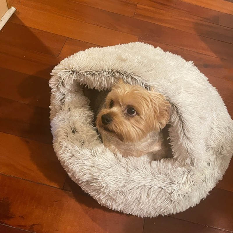 Calming Dog Cave | Plush Pet Bed – Cozy & Anxiety Relief