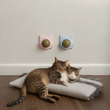 Catnip Therapy Ball | Wall-Mounted Cat Toy – Stress Relief & Play