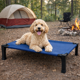 Elevated Cooling Dog Bed – Breathable Raised Mesh Dog Cot for Indoor & Outdoor Use