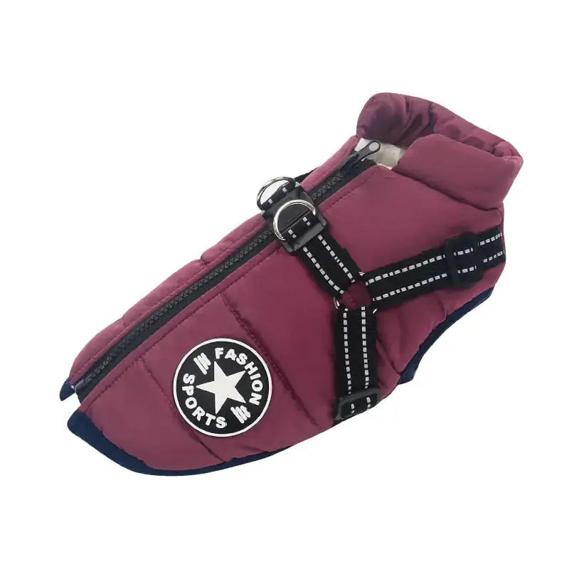 Waterproof Dog Jacket – Keep Your Pup Warm & Dry This Aussie Winter