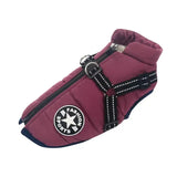 Waterproof Dog Jacket – Keep Your Pup Warm & Dry This Aussie Winter