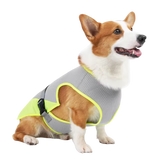 Quick-Dry Cooling Dog Vest | Reflective, Lightweight & Safe for Outdoor Use