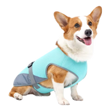Quick-Dry Cooling Dog Vest | Reflective, Lightweight & Safe for Outdoor Use