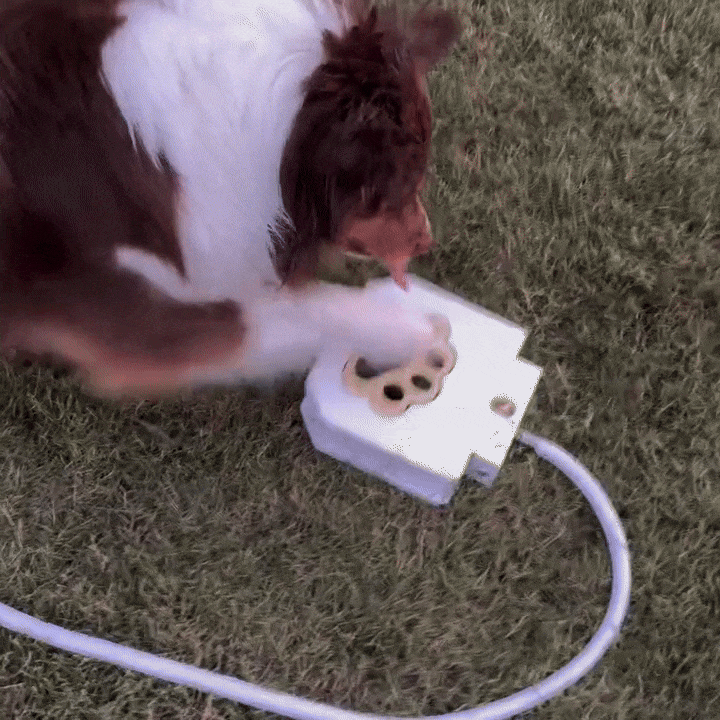Interactive Dog Water Fountain | Outdoor Pedal-Activated Cooling Fountain
