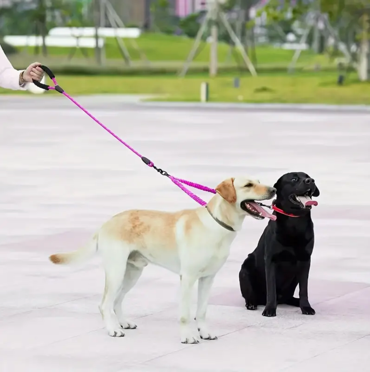 Two-Dog No-Pull 360° Swivel Leash | Tangle-Free Dual Dog Lead