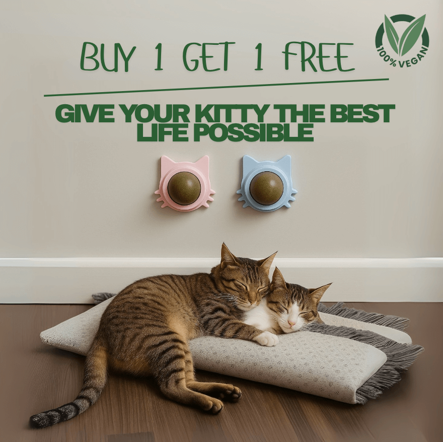 Catnip Therapy Ball | Wall-Mounted Cat Toy – Stress Relief & Play
