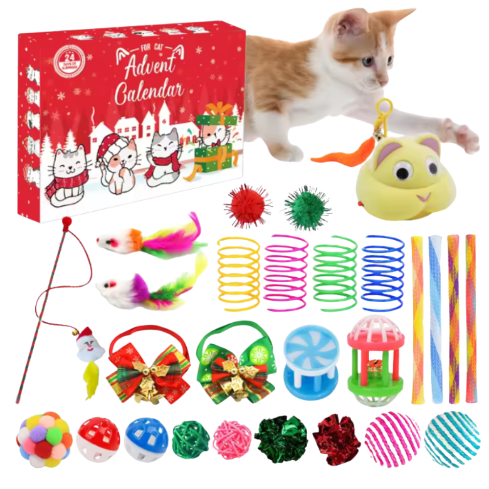 24-Day Cat Advent Calendar | Interactive Holiday Toy Gift Box for Cats