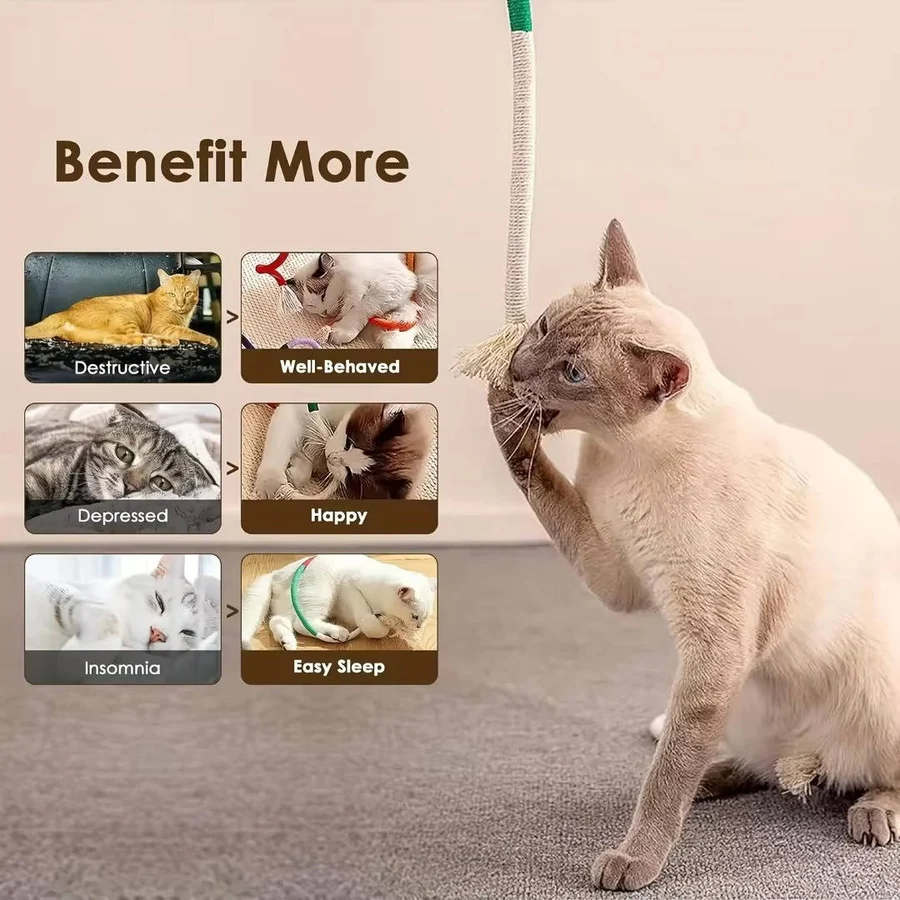 Cat Spiral Chew Toys | Fun Interactive Toys for Playful Kittens
