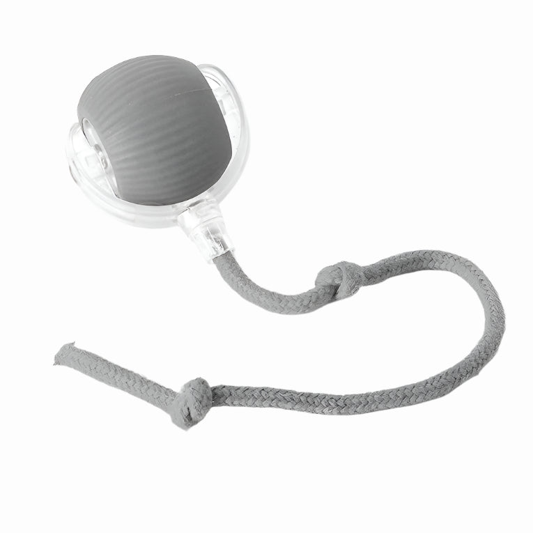 Rolling Ball Toy | Interactive Dog Toy – Motion Activated Chase Play
