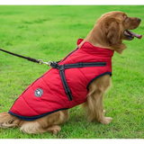 RainGuard - 3 in 1 Dog Jacket