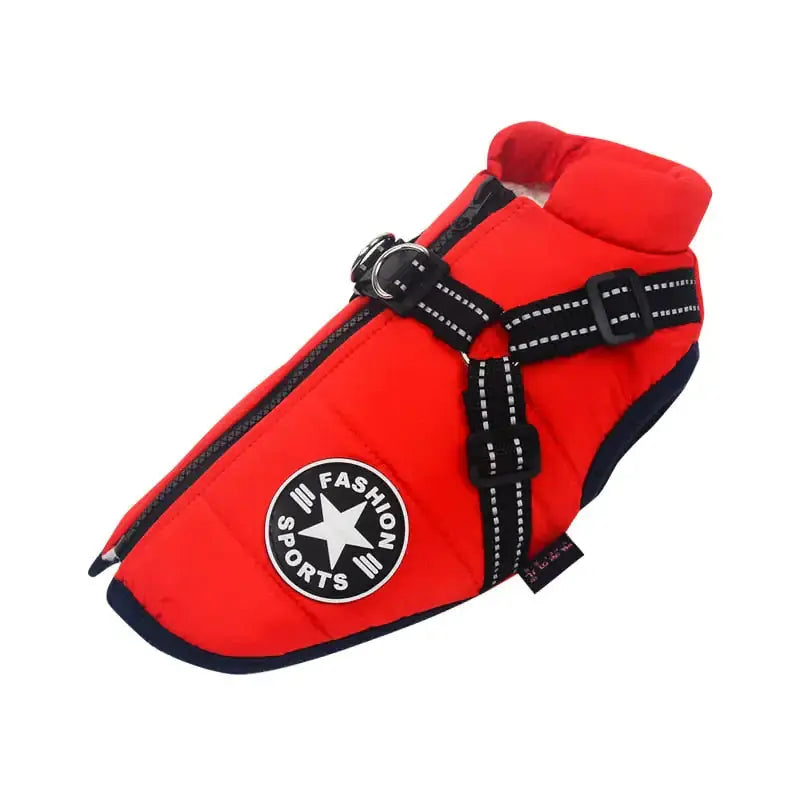 Waterproof Dog Jacket – Keep Your Pup Warm & Dry This Aussie Winter